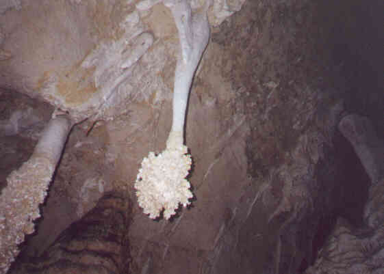 Stalactite